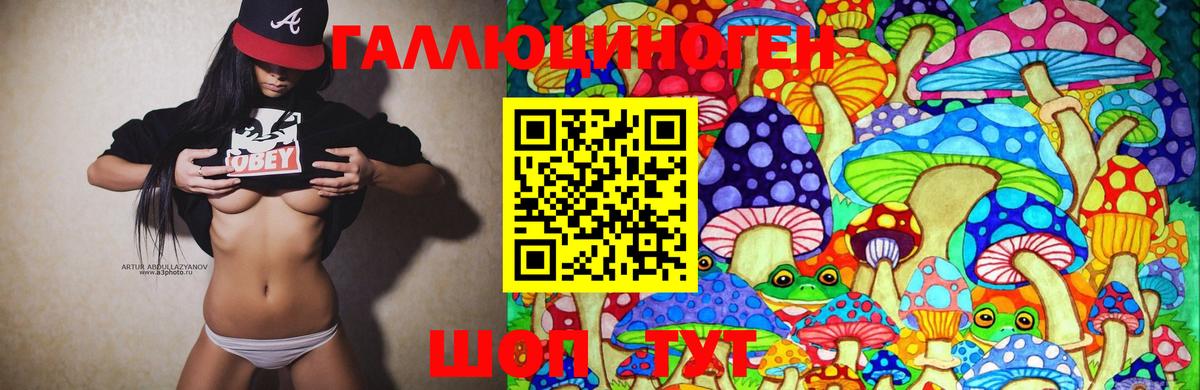 Псилоцибиновые грибы Psilocybe  Вход с VPN  Кострома 