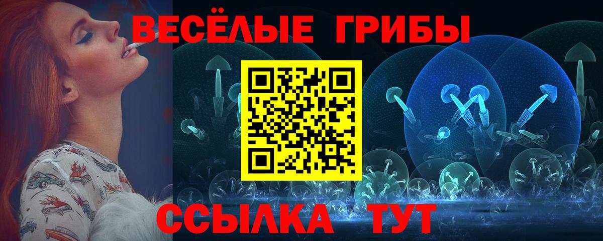 Псилоцибиновые грибы Psilocybe Кострома